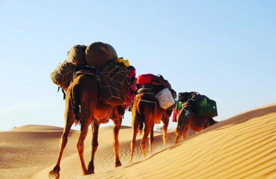 Camp Sahara Holidays M'Hamid Eksteriør billede