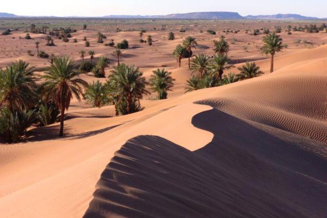 Camp Sahara Holidays M'Hamid Eksteriør billede