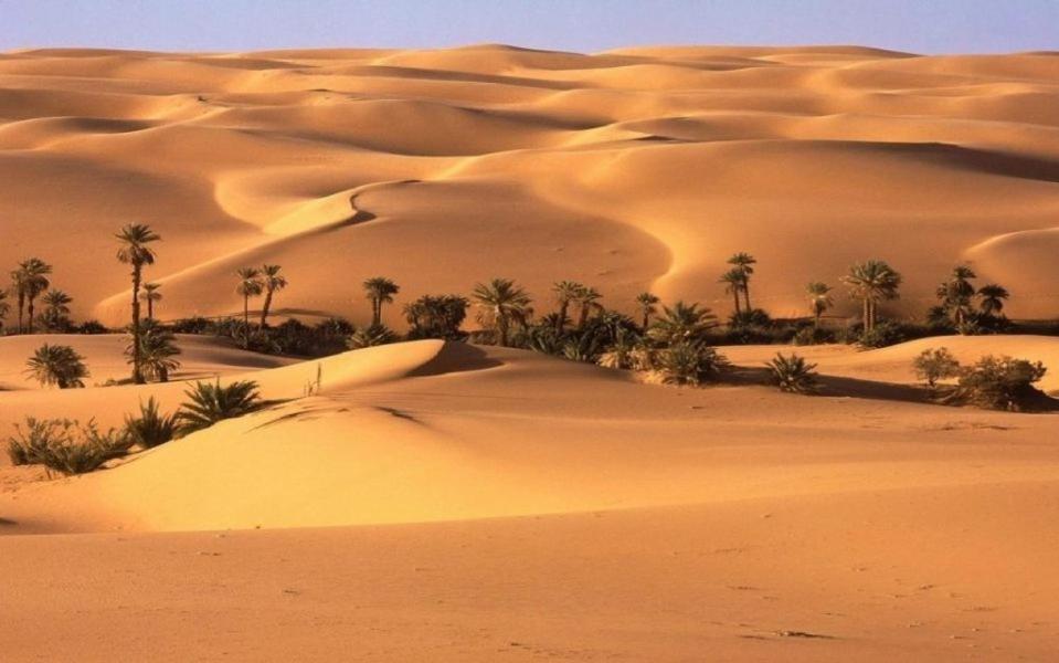 Camp Sahara Holidays M'Hamid Eksteriør billede
