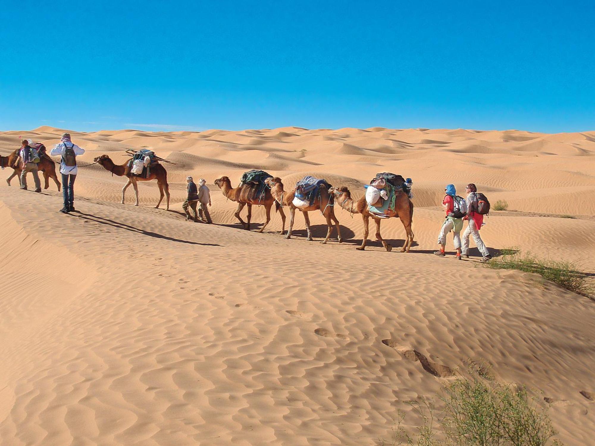 Camp Sahara Holidays M'Hamid Eksteriør billede