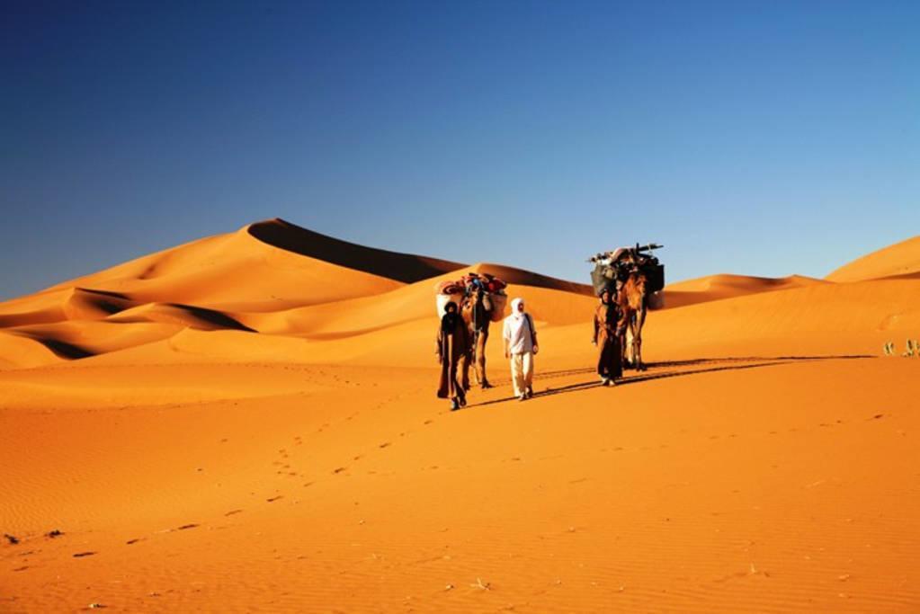 Camp Sahara Holidays M'Hamid Eksteriør billede