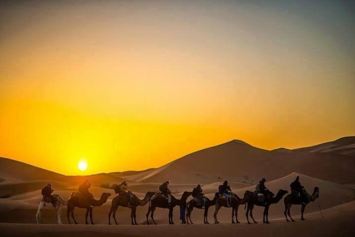 Camp Sahara Holidays M'Hamid Eksteriør billede
