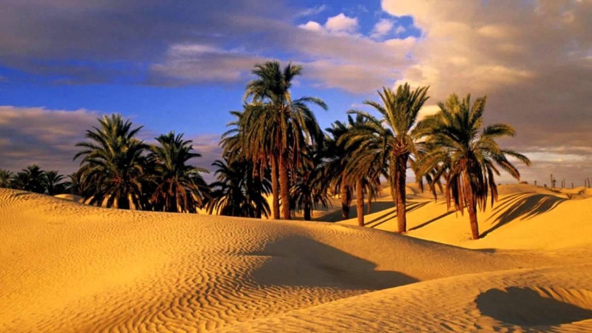 Camp Sahara Holidays M'Hamid Eksteriør billede