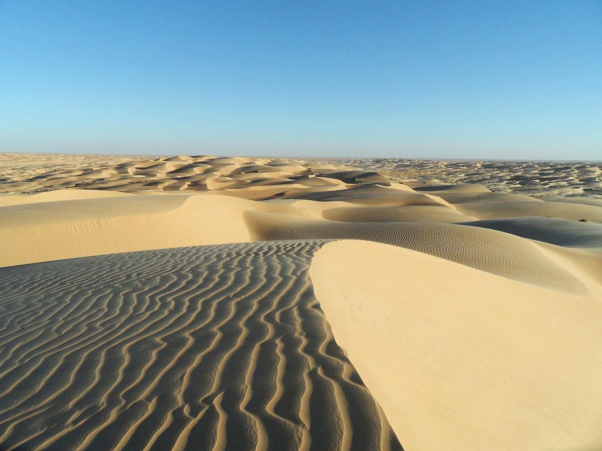 Camp Sahara Holidays M'Hamid Eksteriør billede