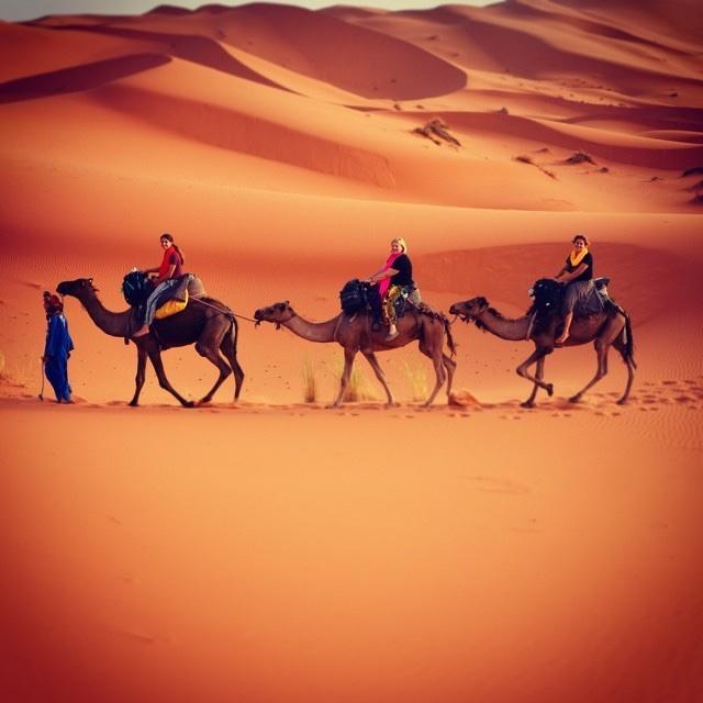 Camp Sahara Holidays M'Hamid Eksteriør billede