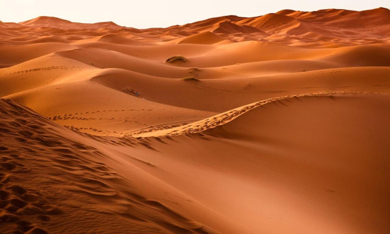 Camp Sahara Holidays M'Hamid Eksteriør billede