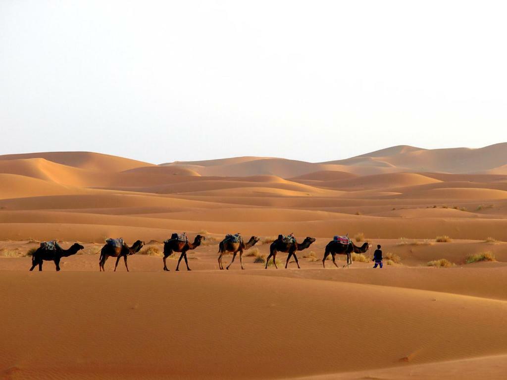 Camp Sahara Holidays M'Hamid Eksteriør billede