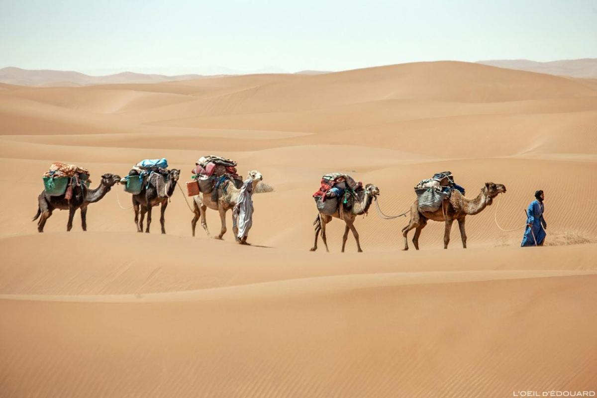 Camp Sahara Holidays M'Hamid Eksteriør billede