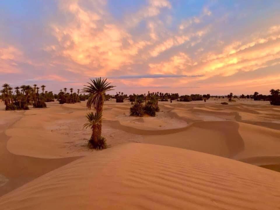 Camp Sahara Holidays M'Hamid Eksteriør billede